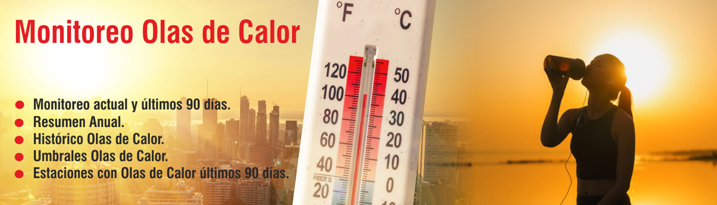 Descripcion de la imagen